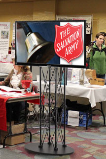 LCD & Plasma Displays