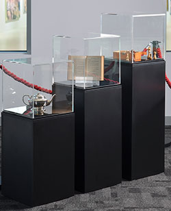 Museum Display Showcase