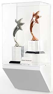 wall mounted acrylic box