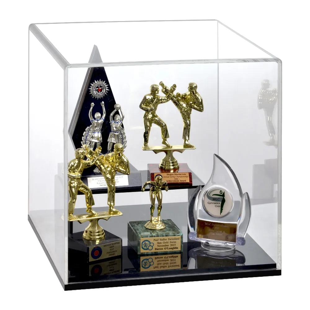 Acrylic Display Cube