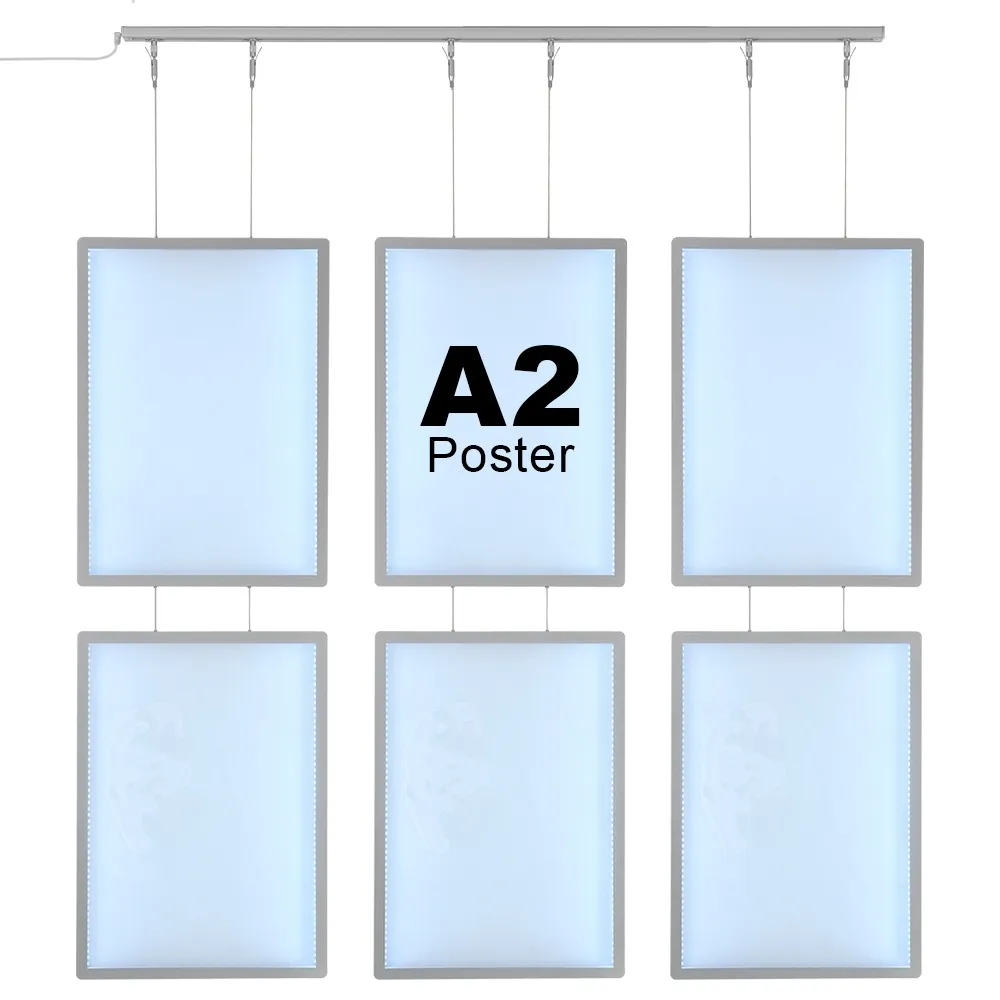 Illuminated Window Displays