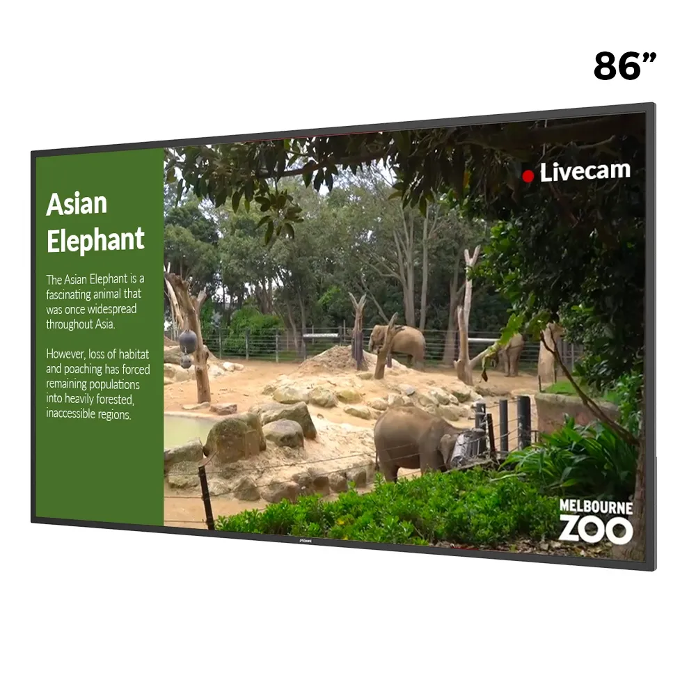 Commercial Digital Display Screen